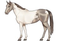 Horse design OTA ☽