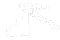 Eels + Escalators