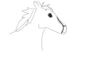 WIP horse