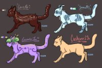 Adult Cat Adopts (OPEN)
