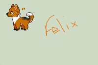 Felix the fox (Pringlekit design