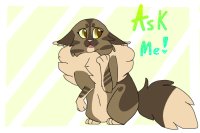 Ask me/Tiny!