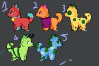 Colourful Puppy Adopts