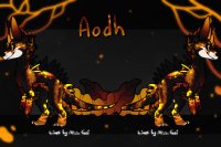 Aodh Reference