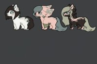 Sona breeding | up for offers!