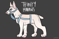 Trinity Adopt #08