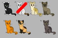 Kitty adopts for 5C$ [6/7]