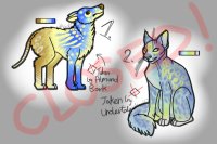 A cat and a dog looking for an owner! c: [Closed]