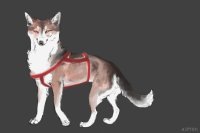 trinity hounds custom #06