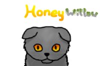 Honey Willow/Honeypaw