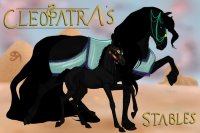 Cleopatra's Stables' Arabians