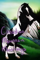 Canadian Mountain Mustangs