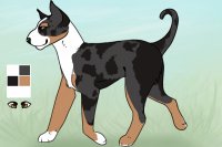 Comhar Terrier 002 | custom