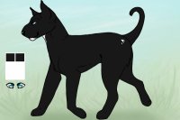 Comhar Terrier 004 | custom