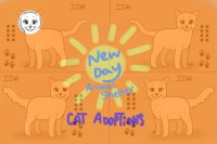 New Day Animal Shelter: Cat Adoptions