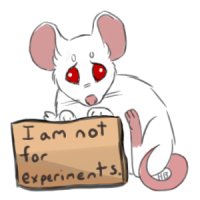 I am not for experiments.