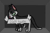 Safe Haven Cat Shelter - open for forms