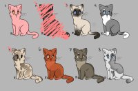 Kitties for sale~