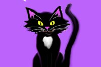 draw my pet ( tuxedo cat )