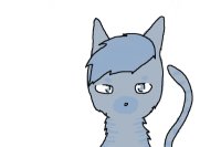 Blue Tabby Cat