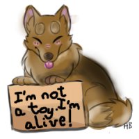I'm Not A Toy. I'm Alive! (odi, my pup)