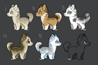 Realistic Puppy Adopts — {CLOSED}