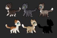 Kitty designs