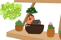Plant Avians: Bonsai Robin