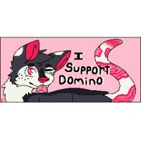 I support Domino