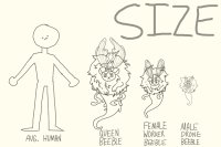 Size/Role chart