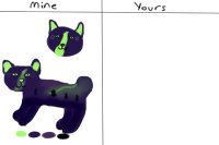 Mine v Yours [Northern Lights Cat]