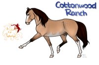 CWHR: Mystery Parents- Welsh Pony