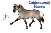 CWHR: Mystery Parents- Highland Pony