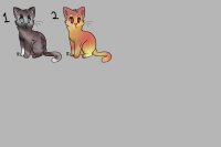 Kitten Adopts <3