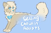 Selling Chowlin Adopts