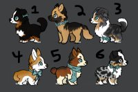 0/6 open adopts!