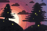 Firefly Forest