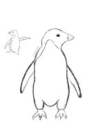 penguin-sketch