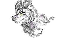 Wolf sketch (First Oekaki)