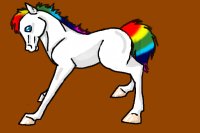 Rainbow foal