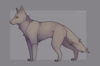 wolf color in