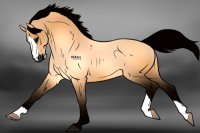 RVEC #471 - Buckskin Welsh Pony