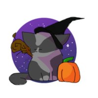 Witchy Grey Cat