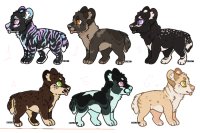 Hyena Cubs, to good homes only!