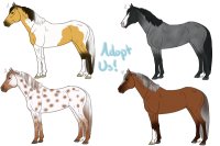 Horse adopts [0/4]