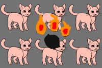 A fire cat