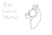 Free Canine Sketchs