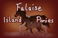Falaise Island Ponies
