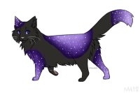Galaxy Cat- idek lmao (ufa)