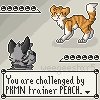 You are challenged by PKMN trainer PEACH.